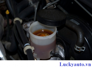 Khi Nào Cần Thay Dầu Phanh Cho Xe Mercedes?